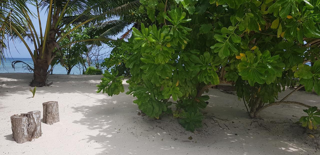 Villa Admiral Grand Anse  Exteriör bild